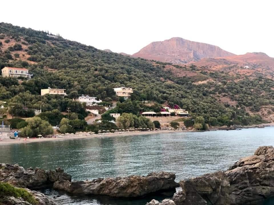 Livikon Studios & Rooms Rodhákinon Dış mekan fotoğraf