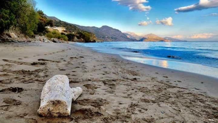 Livikon Studios & Rooms Rodhákinon Dış mekan fotoğraf